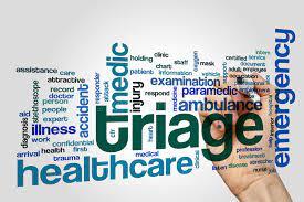 Words in a box with triage standing out