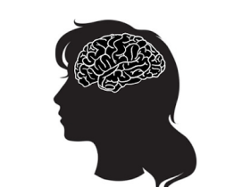 Neuroscience A woman's brain