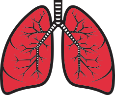 Lungs Acute Respiratory Distress Syndrome