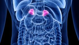 Adrenal Incidentaloma Adrenal Incidentaloma