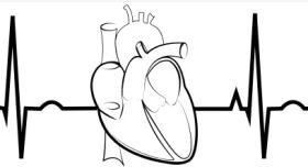 cardiac rhythm cardiac rhythm
