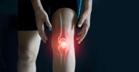 knee pain highlighted in red knee pain highlighted in red