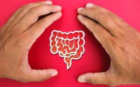 Hands Enclosing a Digestive System