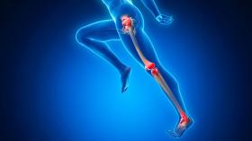 Human Body in Motion