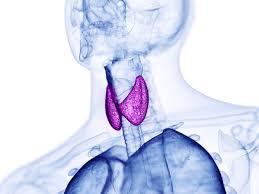 Hypothyroidism
