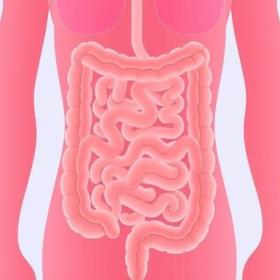 Inflammatory bowel disease (IBD)