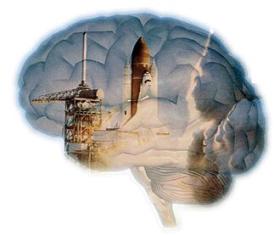 Image of a Brain with a Space Shuttle Lifting Off within It Image of a Brain with a Space Shuttle Lifting Off within It