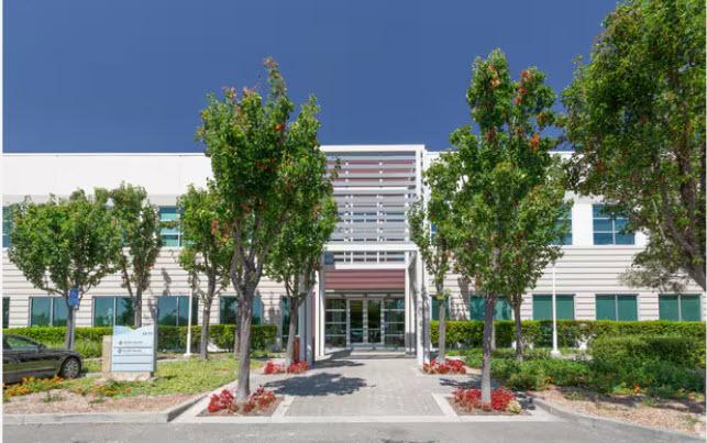 front of building surrounded by trees 